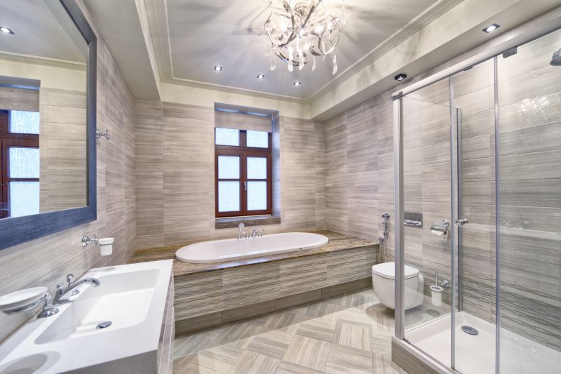 Elegant Shower and Bathtub Combination