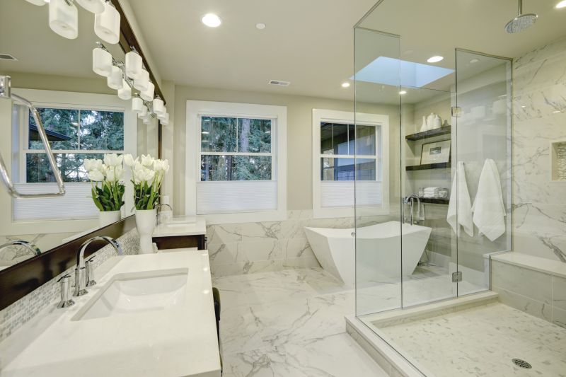 Walk-In Shower with Glass Enclosure
