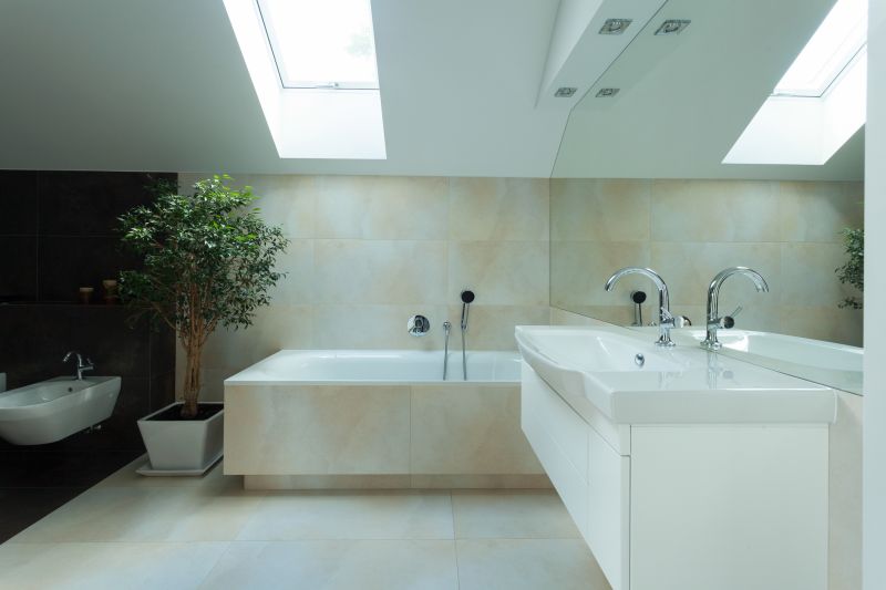 Master Bathroom with Skylight and Natural Light